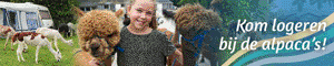 alpaca-camping-aan-de-waterspiegel