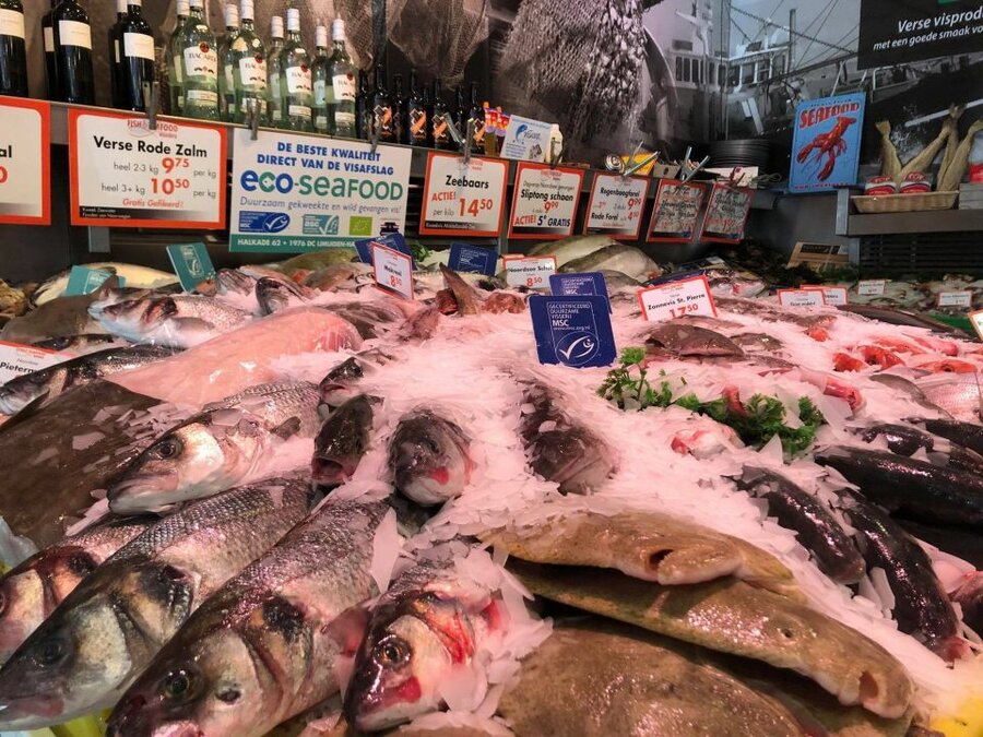 Fish & Seafood Waasdorp