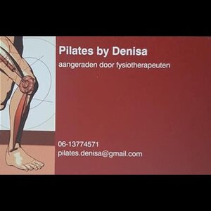 denisasilvanova.com logo