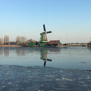 Swarte Walvis B.V. image 1