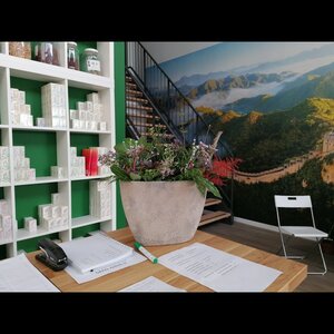 Acupunctuur Ji Shan Tang image 2