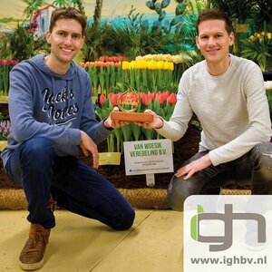 Intermediair Groep Holland B.V. image 2