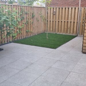 Jamo Tuinbedrijf image 3