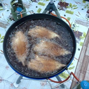 Vishandel Tol image 3