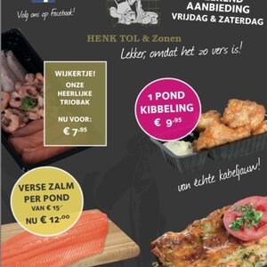 Vishandel Tol image 4