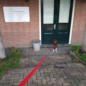 Dierenartspraktijk Edam image 1