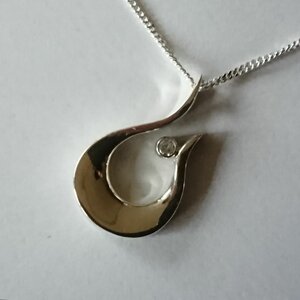 Silentis Uitvaartverzorging image 2