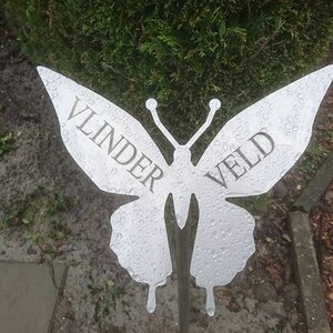 Silentis Uitvaartverzorging image 5