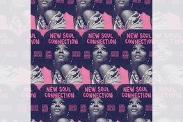 New Soul Connection; uit passie en liefde voor de soul & Alkmaar!