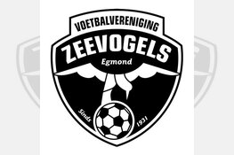 Zeevogels stunt met winst op Kleine Sluis