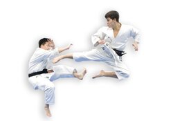 Open Dag der Krijgskunsten in Sportcomplex Oosterhout