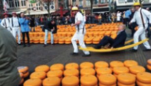 Evenementen kalender