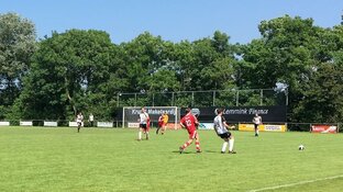 Zeevogels gedegradeerd na nederlaag tegen Bergen