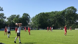 Zeevogels gedegradeerd na nederlaag tegen Bergen