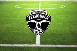 Mooie samenwerking Zeevogels en Bunink kent vervelend einde