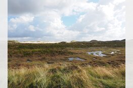 Zomerwandeling door Kleinmeer