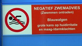 Hier kan je (beter) niet gaan zwemmen in Noord-Holland