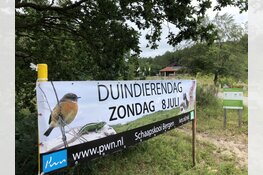Duindierendag bij de Schaapskooi in Bergen