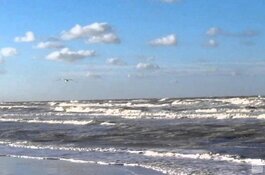 Suppers redden jongens uit zee: "Ze hadden wel kunnen verdrinken"