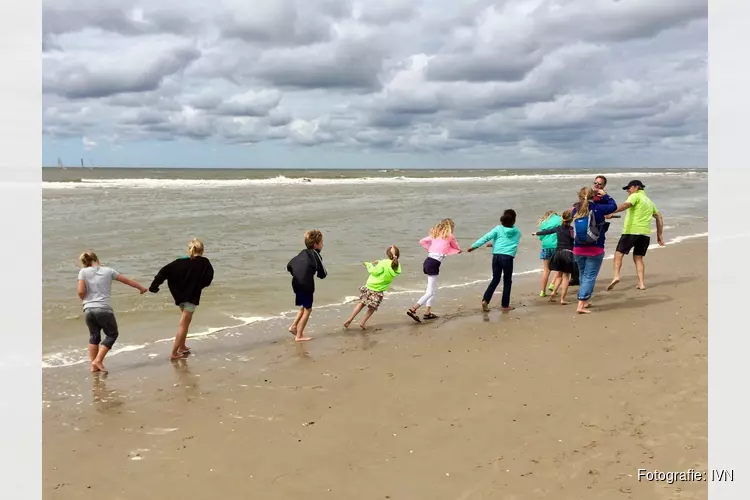 Op zondag 15 juli ‘s ochtends vroeg met IVN-gidsen korren in de branding van Bergen aan Zee
