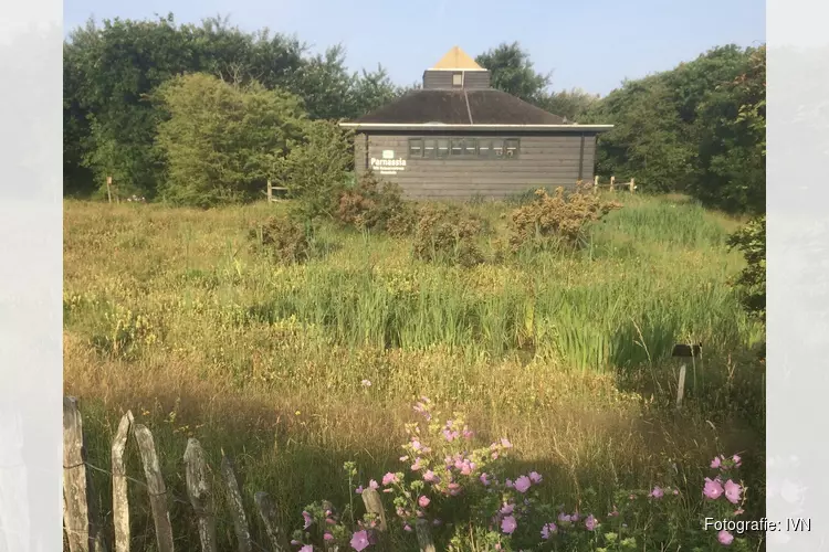 Openstelling unieke heemtuin Parnassiapark Bergen aan Zee