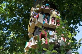Brede-Vaart inspireert Alkmaarse kinderen: Op het Bolwerk te zien: heiligenbeelden, ex-voto’s en een meditatiekoepel gemaakt door leerlingen van vier basisscholen