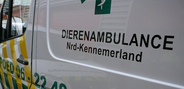 Hond glipt uit auto en wordt aangereden op A9