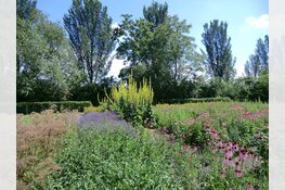 Reddingsactie voor Hortus Alkmaar: "Dit unieke stukje natuur moet behouden blijven"