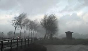 Herfst trapt af met ronduit onstuimige dag: code geel op herhaling