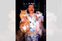 Programma Taverne: Thank God It's Friday, Radiohead Tribute, Troff, popkwis