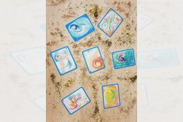 Workshop: Stap in je transformatie