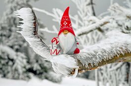 Kerstwandeling in Alkmaar Noord