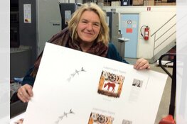 Denise Kamp- boekpresentatie en expositie