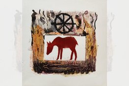 Denise Kamp- boekpresentatie en expositie