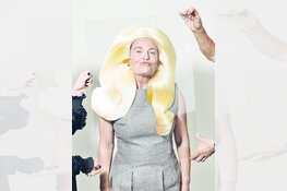 ‘De Vrekkin’ in De Vest