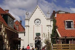 Programma februari De Groene Zwaan