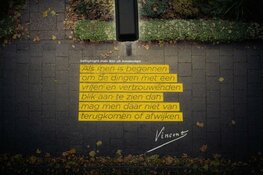 Van Gogh verlicht Alkmaar