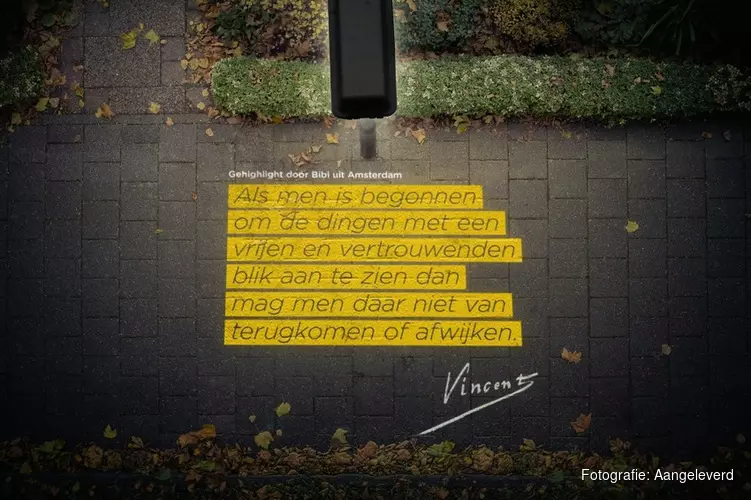 Van Gogh verlicht Alkmaar