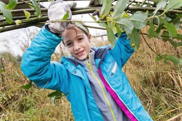 Geld beschikbaar voor goede ideeën van innovatieve groene vrijwilligers