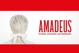 West End theaterspektakel AMADEUS komt naar Alkmaar Kaartverkoop TAQA Theater De Vest is gestart