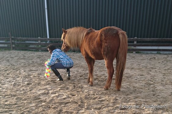 kennismakingsdag van Paardenkern en EquiVisie