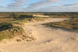 Lezing Historisch Café over het Oer-IJ