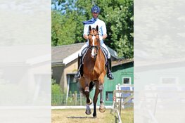 50e Pinkster Concours Hippique Kennemerruiters