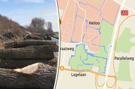 Bomenkap voor afslag A9 Heiloo hervat