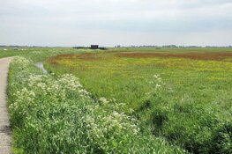 Brede coalitie van organisaties zet schouders onder meer biodiversiteit in Noord-Holland