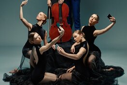 Vier verhalen op een dag