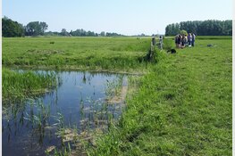 Van bittervoorn tot zwarte zegge, leer alles over oevers!