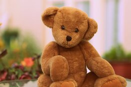 Ontmoetingsmoment voor ouders die een kindje verloren tijdens zwangerschap