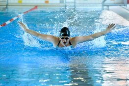 Verbeter je techniek en uithoudingsvermogen met slag- en conditietrainingen in zwembad De Hout