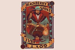 De top van Southern Rock in Victorie met op 9 juni Gov’t Mule en op 10 juni Blackberry Smoke